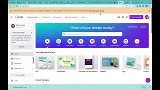 Canva team member permissions setup