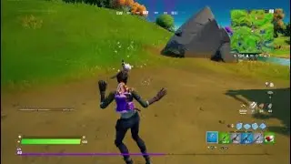 Emote within 10m of Wildlife - Fortnite Chapter 2 Season 8