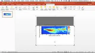 FigureAnnotationPowerpoint - 5 Cropping Images