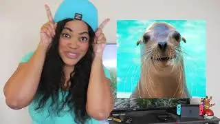 Aleu's Wild Wonders Episode 1: Seals vs. Sea Lions