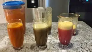 Big Mouth Juicer Test Review I Hamilton Beach Juicer Test