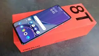 OnePlus 8T Lunar Silver