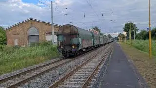 locomotives  1334 et 1313  SNCB  en t&ecirc;te  du train de wagons b&acirc;ch&eacute;s  du 28 juillet  2021