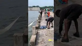 The amazing🕸️🎏 throwing nets🎏🕸️ fishing🕸️🕸️🐬🦈🐠🐟 अद्भुत जाल डालकर मछली पकड़ें#fishing #shorts #river