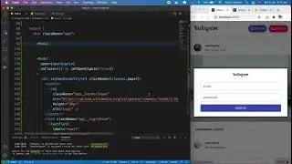 Instagram app Login using React  firebase Auth part 11
