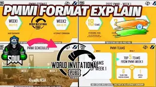 PMWI FORMAT EXPLAIN | ALL YOU NEED TO KNOW ABOUT PMWI☺️
