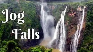 Magnificent Sharavathi | Jog Falls