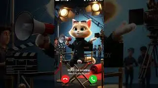 Stylish cat is calling #cutecat #millionviewsrington #shorts #catcalling #ringtone #cat