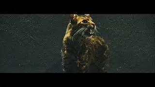 Zyle, Elezeta, 21rae B, Phantasie Vat, Álarcos - Oro Luciano (Video oficial)
