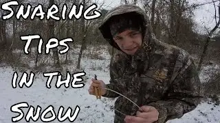 Snaring Tips in the Snow