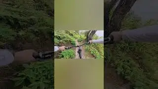 Wanna hunt trail come join me.