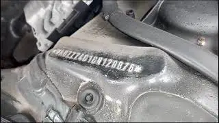 AUDI A6. Engine number, chassis number and chassis plate location