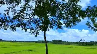 Beautiful Sky+Village View 🥰🥰.    #village #road #villageroad #beautyvideos #beauty #beautychallenge
