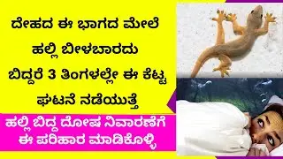 Lizard should not fall on this part of the body | astrology | Lizard omen