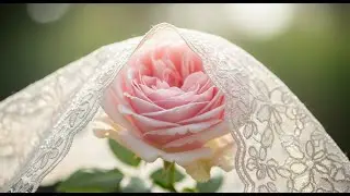 #ChandosBeauty #ЧандосБьюти Роскошная #английскаяроза 2025 Fragrance Secrets of Chandos Beauty