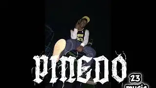 PINEDO-lo que fuimos ayer