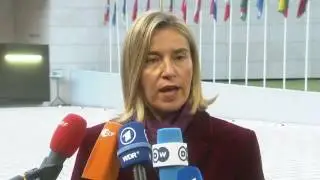 Foreign Affairs Council & Environment Council - arrival and doorsteps