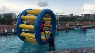 Hamster Wheel Singapore | Carnival Wiz