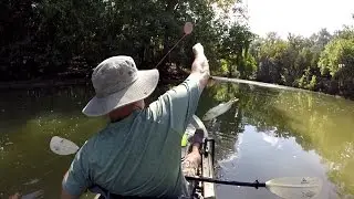 Two That Got Away