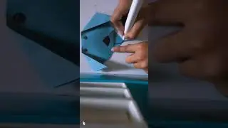 Summer Activity Paper Dog