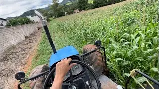 Começamos abrir os caminhos na roça 