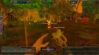 Основы PvE и фарма в DarkFall Online New Dawn
