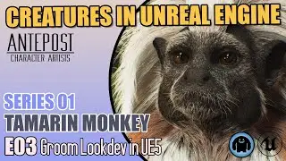 CREATURES IN UNREAL ENGINE - S01 Tamarin Monkey - E03 Fur Lookdev and Mocap Setup