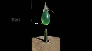 Интересные факты 🤯 #videos #юмор #asmr #coolvideos #асмр #видео #врекомендации #врек #тикток