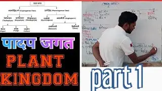 plant kingdom। पादप जगत। padap jagat। thalophyeta, broyophyeta, teridophyeta for railway groupd NTPC