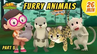 Furry Animals (Part 5/5) - Exciting & Educative Animals Stories for Kids | Leo the Wildlife Ranger
