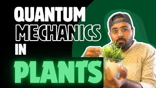 Plants Use Quantum COHERENCE !!!