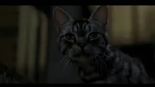 Tiny Mouse, Big Trouble! 😂 Stuart Little Outruns Every Cat!