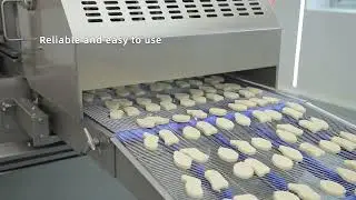 Hiwell--automatic tempura chicken nuggets production line