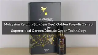 Malaysian Kelulut Golden Propolis Extract by Supercritical Carbon Dioxide Green Technology