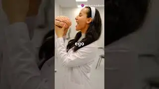 3 #curiosidades M&aacute;s Exc&eacute;ntricas del #ego #shortsyoutube #elpoderdelamente  #2024 #motivacion