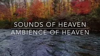 Sounds of Heaven: Ambience of Heaven 1 hour of Instrumental Prayer Music