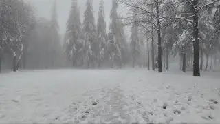 Winter Hike in Turkey | 4K | Snow Hiking in Kartepe, Marmara Region | 2025