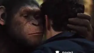 Funny Madlips