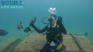 Discover Scuba Dive in Qatar