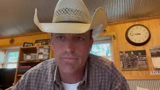 Kansas Cattleman Steve Stratford breaks down the cattle market crisis.