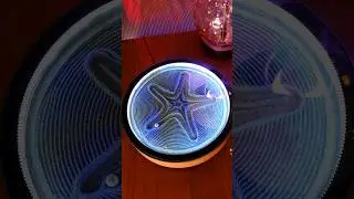 Experience the Beauty of Motion: Oasis Mini Kinetic Art Canvas Carves a Glittering Starfish