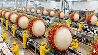 How Rambutan Is Processed in a Modern Factory You've Never Seen Before (Full Process)