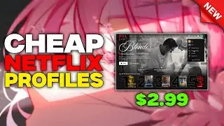 Get Netflix Profile at a Lower Price with the Pakistan Method