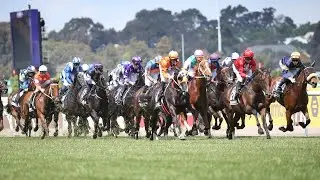 Racing Victoria calls for national ban on the whip in horse races
