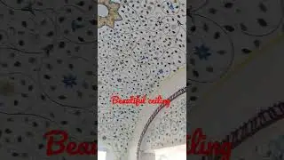 Beautiful hand painted ceiling #video #shortsvideo #youtube #shortsfeed #india