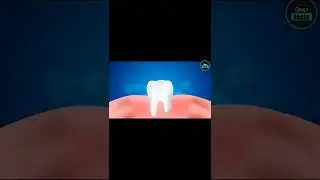 Interesting fact about Colgate || amazing fact || hindi new fact || #onlyfacts #short #youtubeshorts