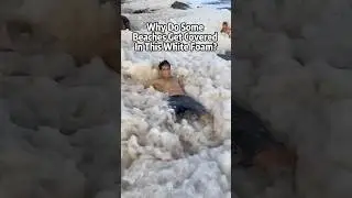 Why You Must Run From White Foam in Water? ⚠️  #BeachSafety #OceanTipsDescription