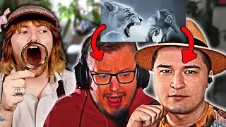 Dracon zerst&ouml;rt und entlarvt Dekarldent mit Fakten...