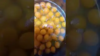 Oua de găină