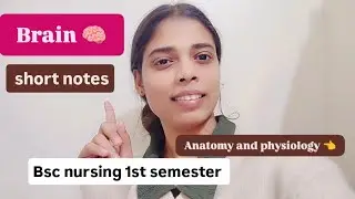 Brain 🧠 short notes 👈#Vijay education ❤️#bscnursing #bestplatform #study#hardwork #like#sm maurya